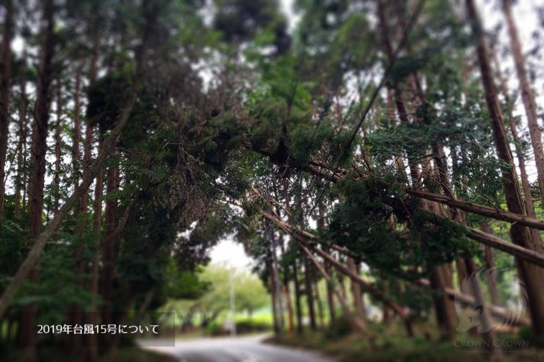 2019年台風15号の被害に関して