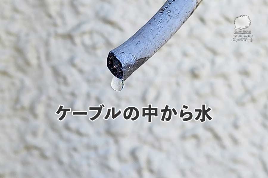 ケーブルの中から水