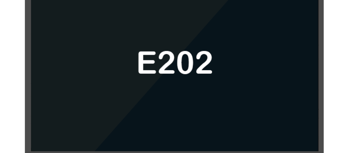 E202